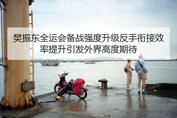 樊振东全运会备战强度升级反手衔接效率提升引发外界高度期待
