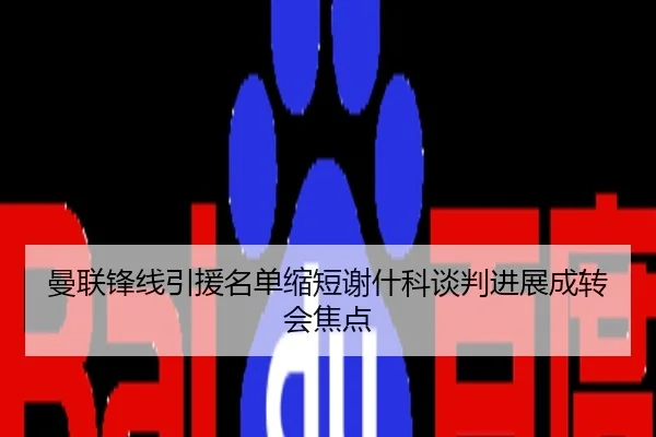 曼联锋线引援名单缩短谢什科谈判进展成转会焦点