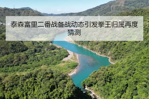 泰森富里二番战备战动态引发拳王归属再度猜测