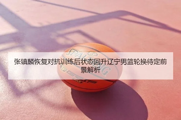 张镇麟恢复对抗训练后状态回升辽宁男篮轮换待定前景解析